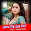 About Jovan Hai Pani Pani Song